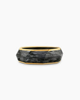 Torqued Faceted Band Ring in Forged Carbon with 18K Yellow Gold, 8mm
